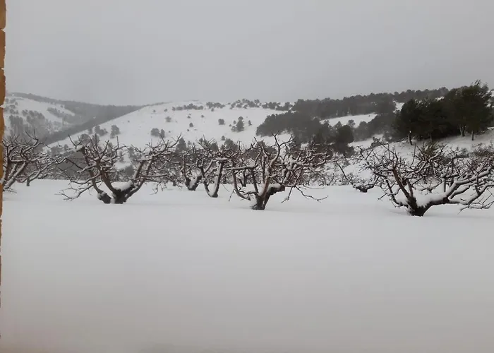 Finca La Foia El Pou